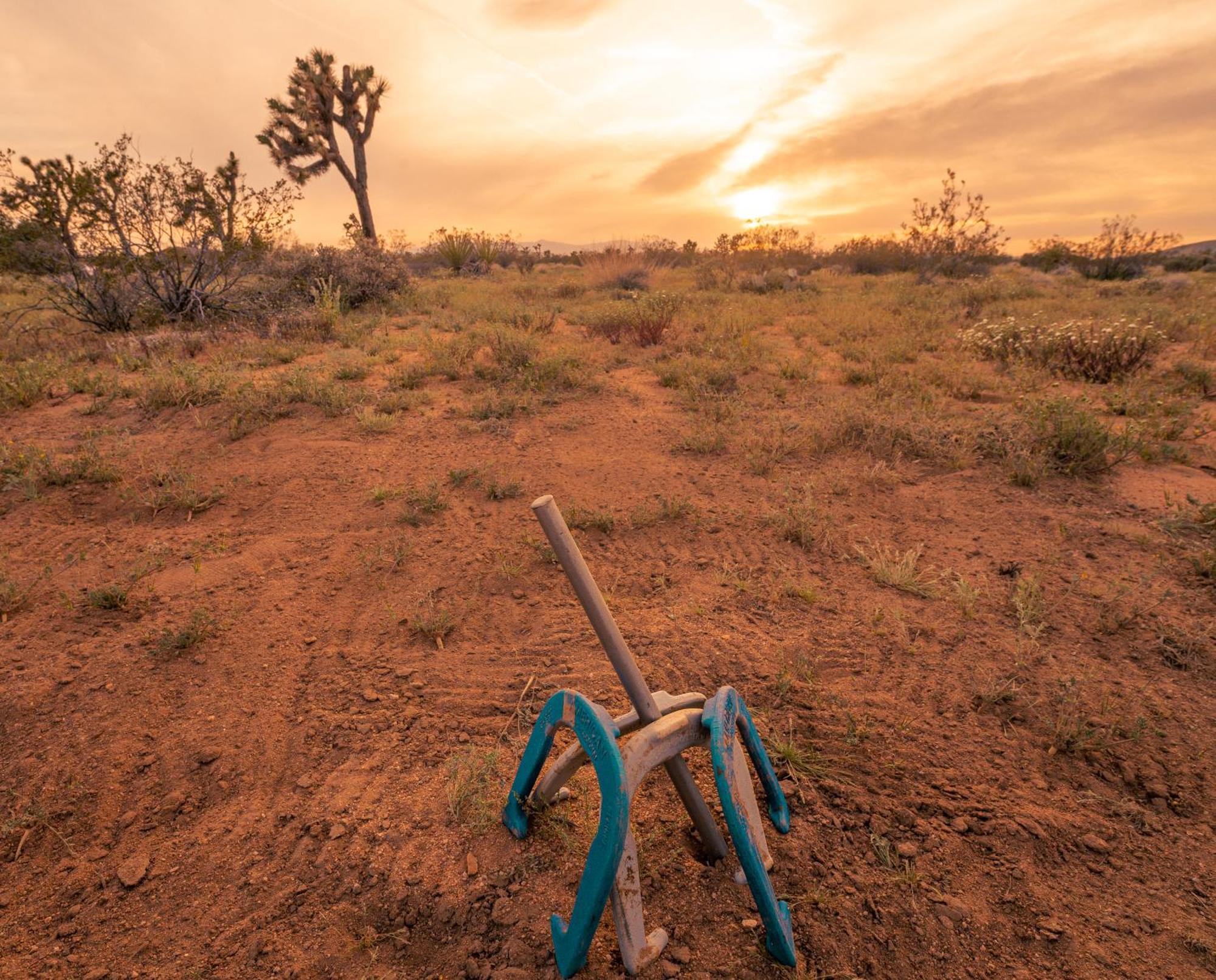 Coyote Tracks - A Modern Desert Experience Villa Joshua Tree Exterior photo
